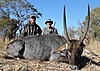 Waterbuck_11.JPG