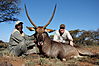 Waterbuck_Jon_Clement_1.JPG