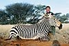 Zebra_Mountain_MIKE_PETERSEN.JPG