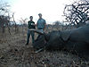 Zimbabwe_2012_7th_Elephant.JPG