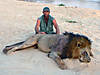 african-lion-hunting.jpg