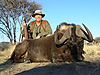 black-wildebeest-02.JPG