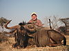 blue-wildebeest-011.jpg