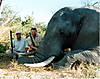 elephant-hunting1.jpg