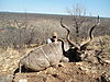 hunting-africa-1247.JPG