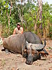 hunting-buffalo-041.JPG