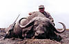 hunting-buffalo-40.jpg