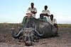 hunting-cape-buffalo1.jpg