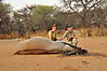 hunting-eland-013.JPG