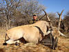 hunting-eland-06.jpg