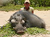 hunting-giant-forest-hog-06.JPG