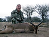 hunting-impala7.jpg