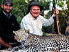 hunting-leopard4.jpg