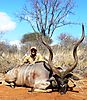 hunting-lesser-kudu-01.JPG