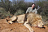 hunting-lion6.jpg