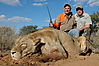 hunting-lion9.jpg