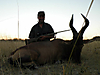 hunting-namibia-005.jpg