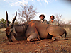 hunting-namibia-062.jpg