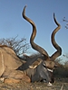 hunting-namibia-097.jpg