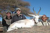 hunting-springbok2.jpg
