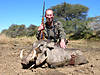 hunting-warthog-14.jpg