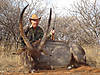 hunting-waterbuck-04.jpg