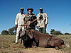 hunting-wildebeest-006.jpg