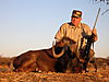 hunting-wildebeest-033.jpg
