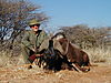 hunting-wildebeest-035.jpg