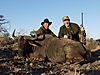 hunting-wildebeest5.jpg