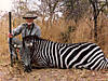 hunting-zebra3.jpg