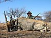 hunting_eland_021.JPG