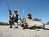 hunting_gemsbok_003.JPG