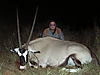 hunting_gemsbok_048.JPG