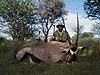 hunting_gemsbok_145.JPG