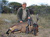 hunting_hartebeest_006.JPG