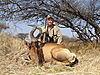 hunting_hartebeest_011.JPG