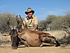 hunting_hartebeest_048.JPG