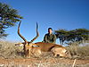 hunting_impala_018.JPG