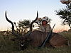 hunting_kudu_028.JPG