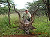 hunting_kudu_050.JPG