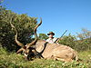 hunting_kudu_081.jpg