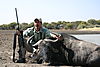 hunting_wildebeest_007.jpg