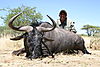 hunting_wildebeest_023.jpg