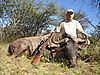 hunting_wildebeest_024.JPG