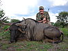 hunting_wildebeest_045.JPG