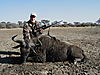 hunting_wildebeest_082.JPG