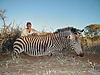 hunting_zebra_010.JPG