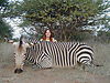 hunting_zebra_013.JPG