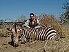 hunting_zebra_014.JPG